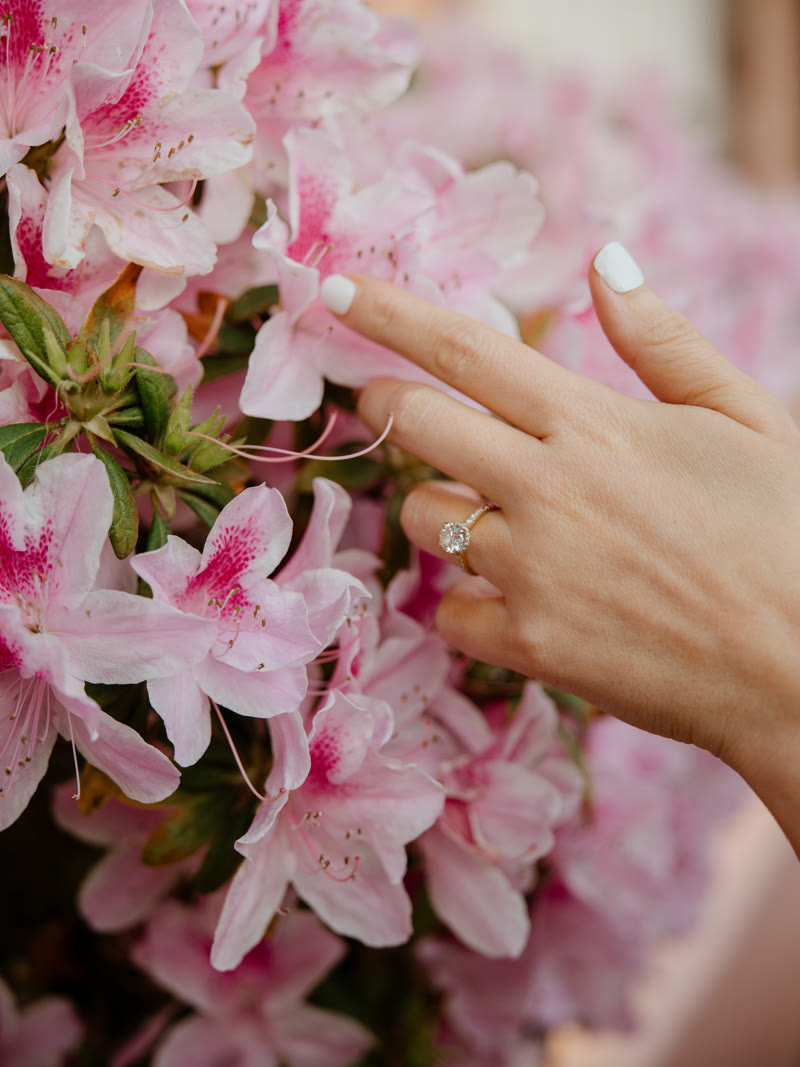 Engagement photo 50